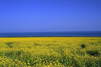 Qinghai Lake Biking Tour