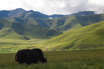 Trek around Lhasa