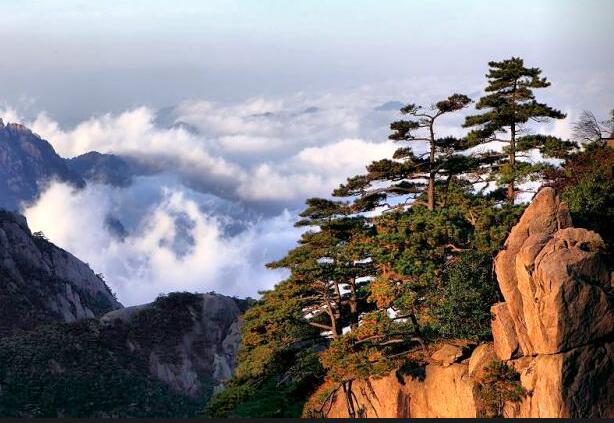 Yellow Mountain (Huangshan)Hiking Tour