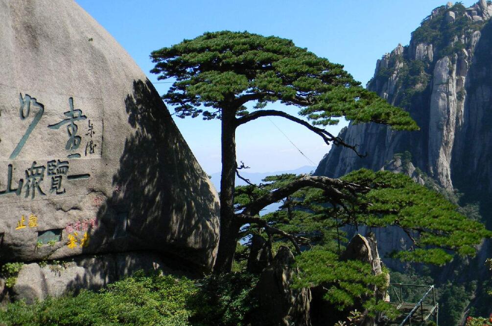 Yellow Mountain (Huangshan)Hiking Tour