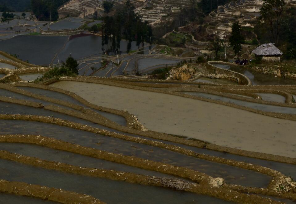 Yunnan Shining Spring