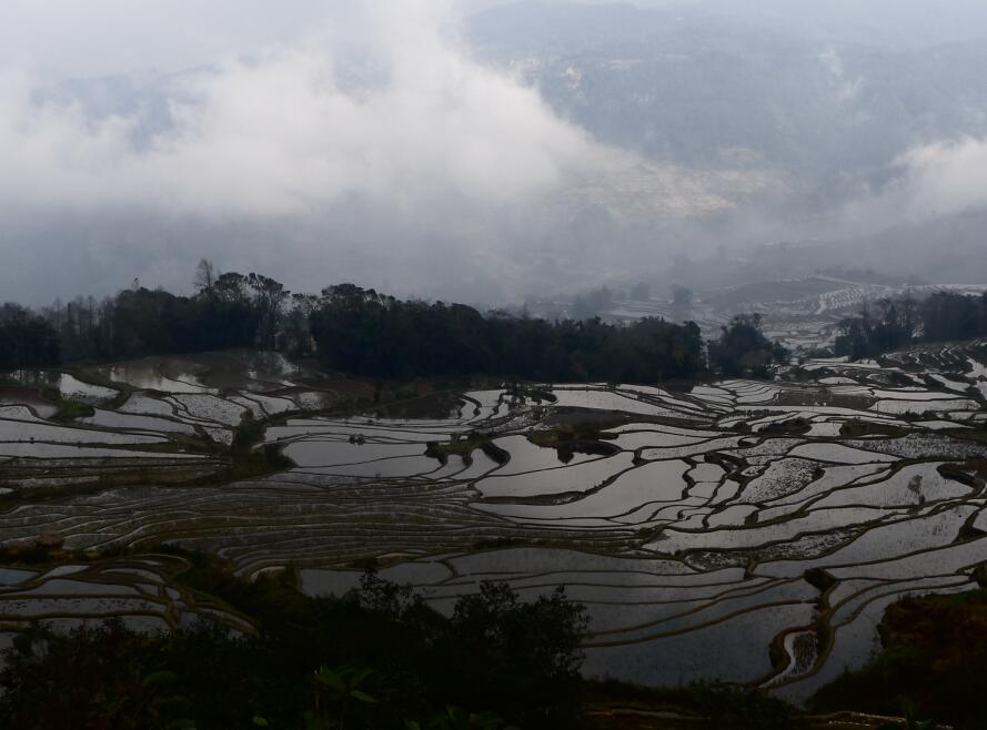 Yunnan Shining Spring