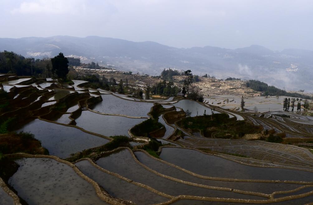 Yunnan Shining Spring