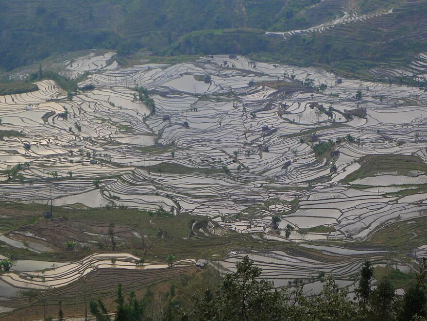 Yunnan Shining Spring